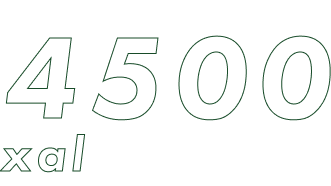 5000 points